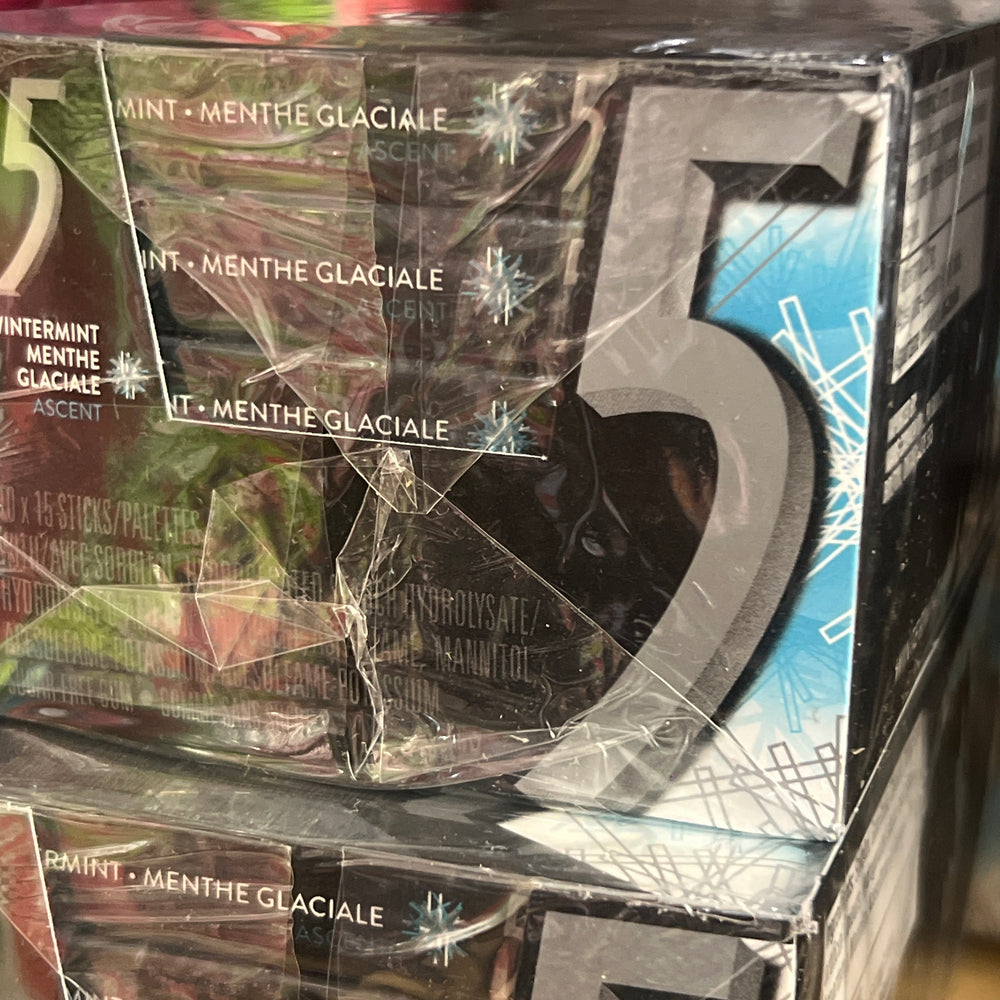 5GUM Wintermint  10 pack