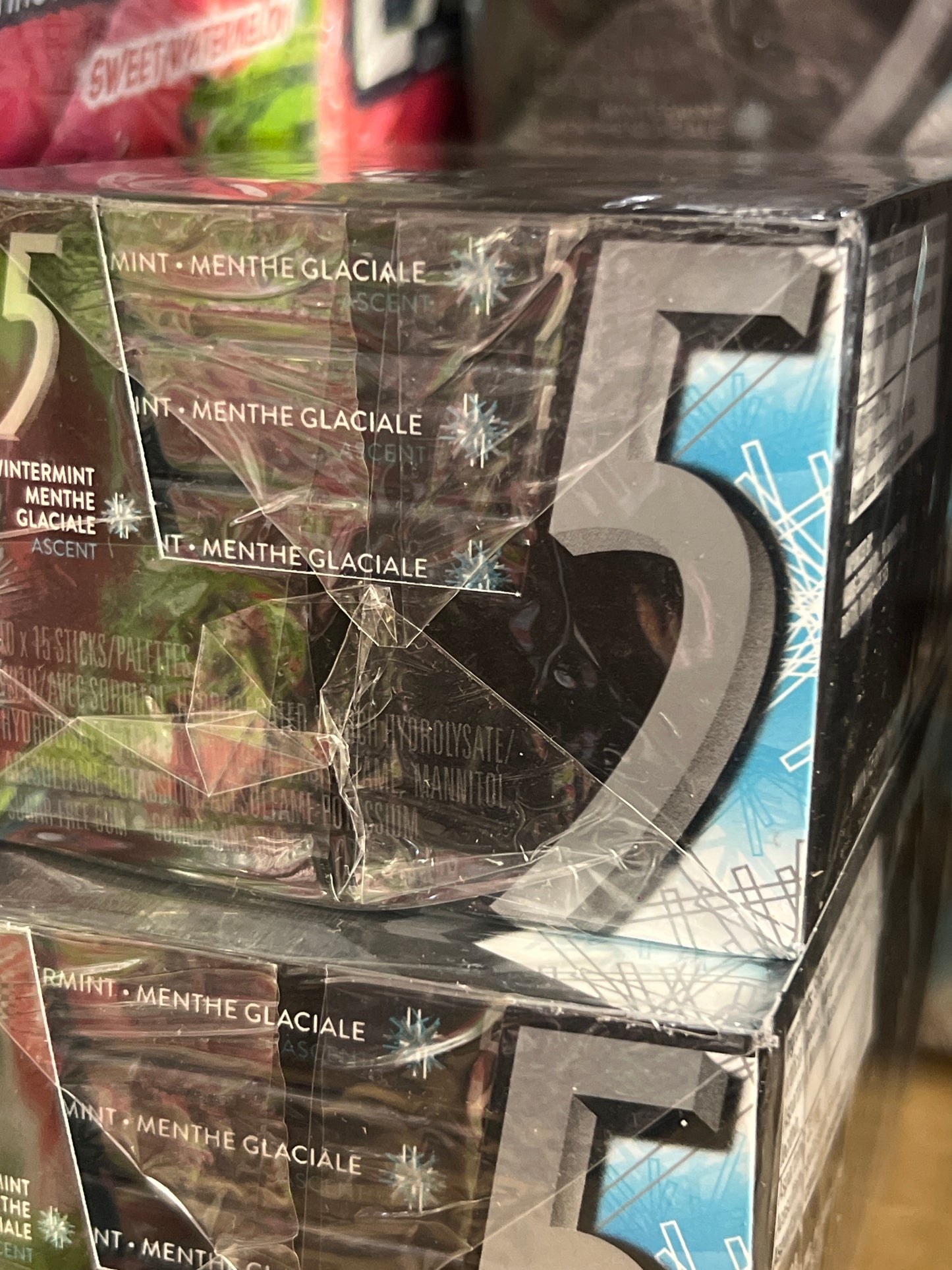 5GUM Wintermint  10 pack